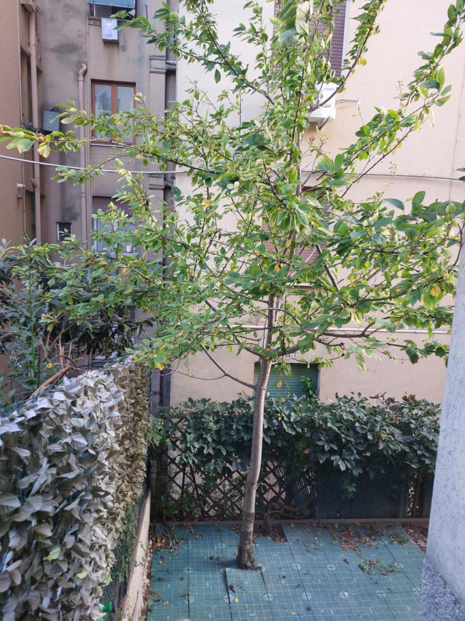 Il Ciliegio - Casa Vacanza Macerata Eksteriør billede